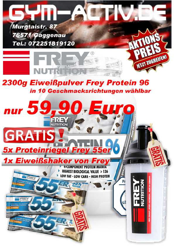 FleyerP96-R-S